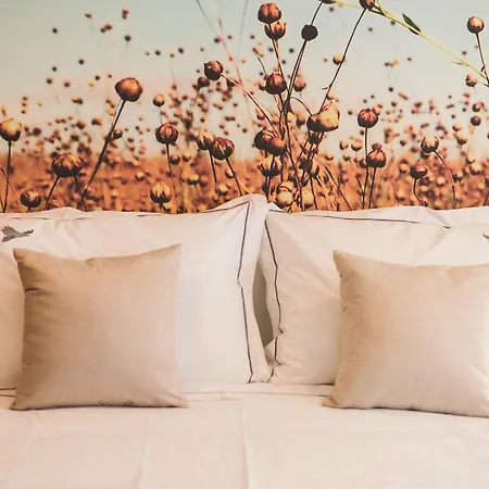 Village de vacances Pousadela Village&spa Vieira do Minho