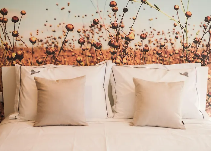 Parco vacanze Pousadela Village&spa Vieira do Minho